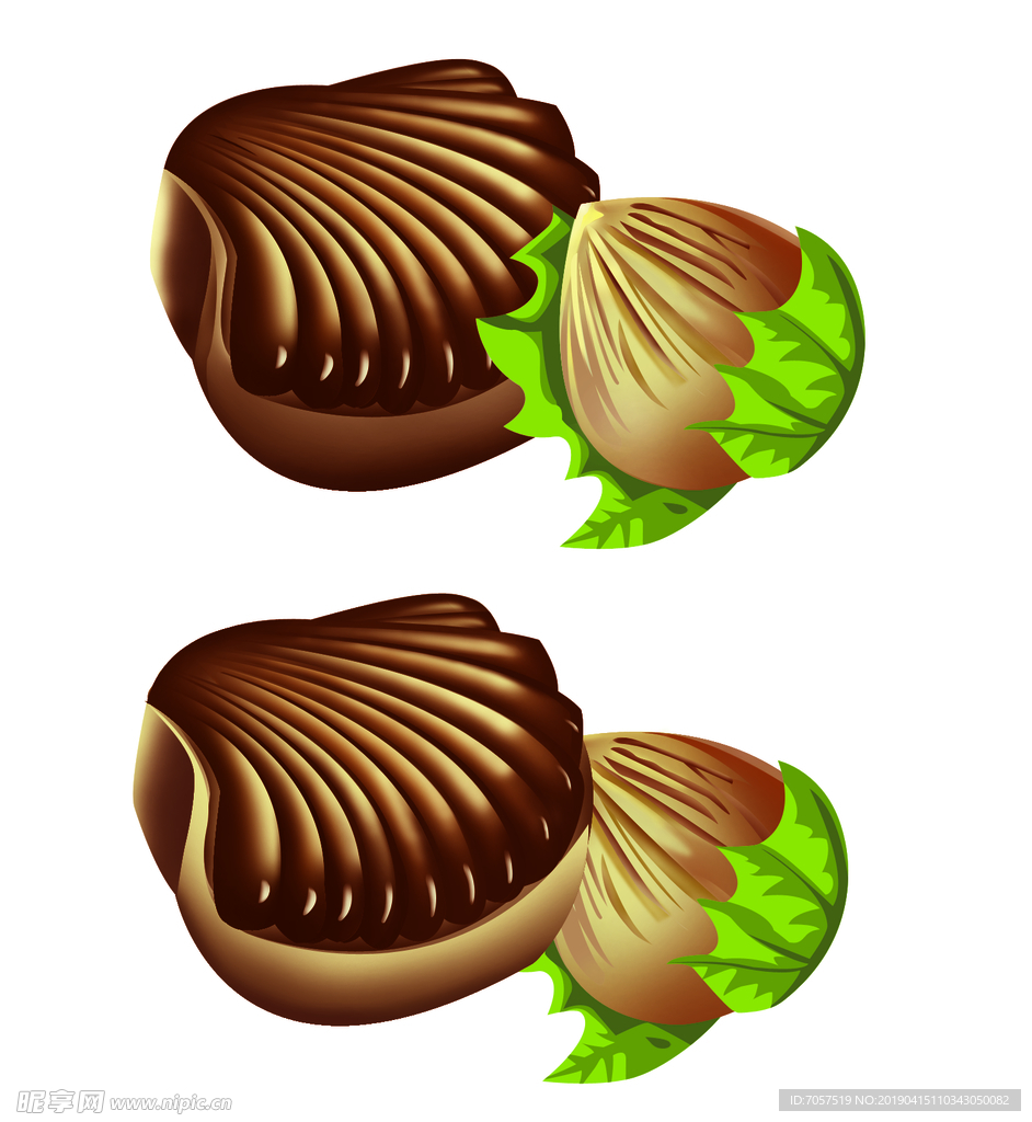 贝壳巧克力   贝壳  巧克力