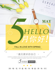 清新创意简约5月你好
