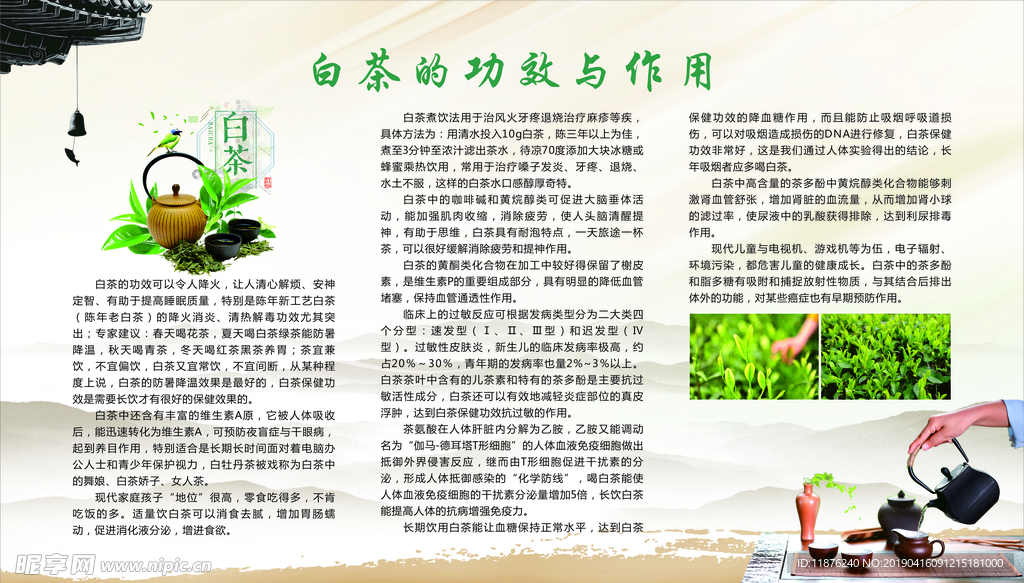 白茶