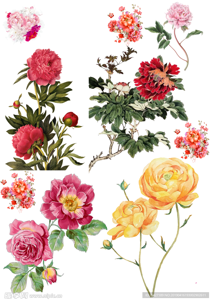 手绘花卉