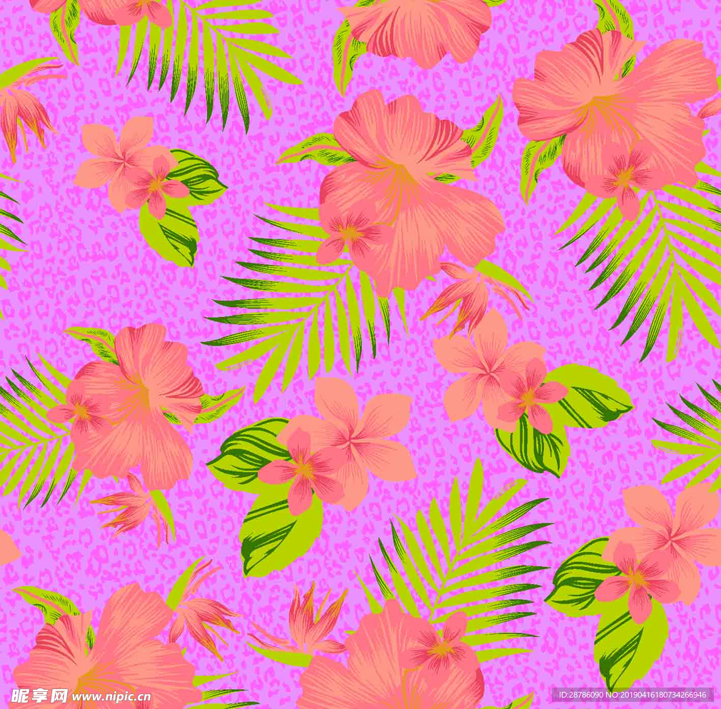 豹纹花