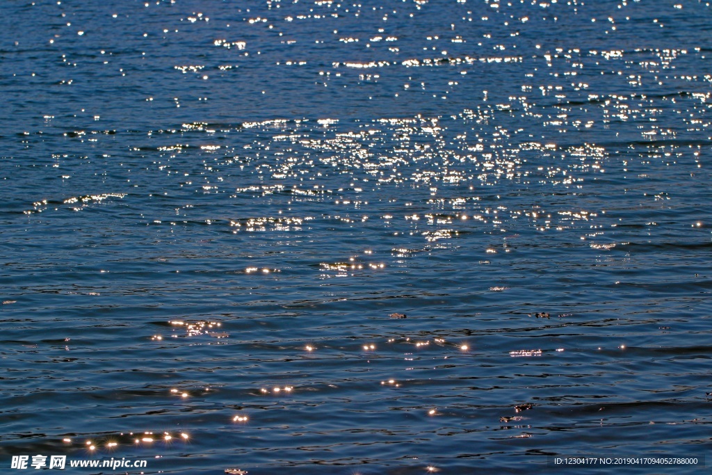 海