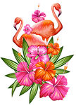 火烈鸟