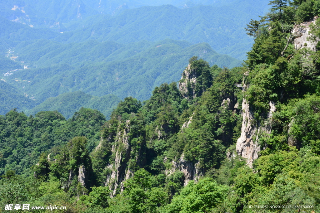 山脉树林