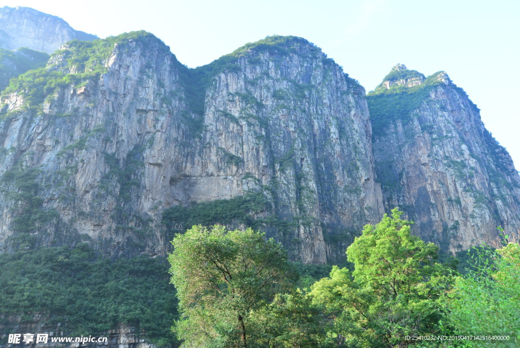 青山树木