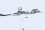 水花