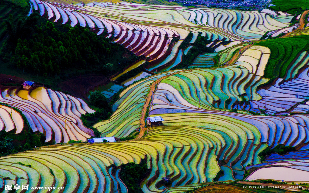 越南梯田