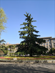 山东农业大学
