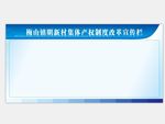 集体产权制度改革