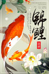 锦鲤