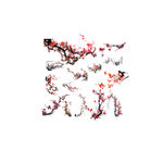 19种梅花分层