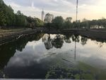 公园