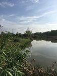 崇州桤木河湿地公园