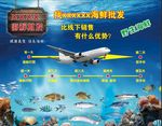 海鲜冷库海报