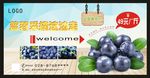 蓝莓采摘户外广告