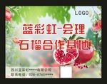 会理石榴基地