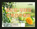 攀枝花芒果基地