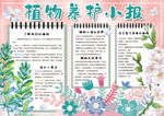 植物小报