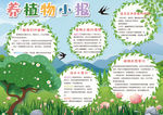 植物小报