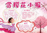 赏花小报