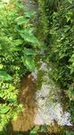 小溪