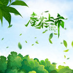清凉一夏