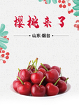 水果