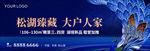 蓝色高端地产海报