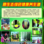 竹酒养生