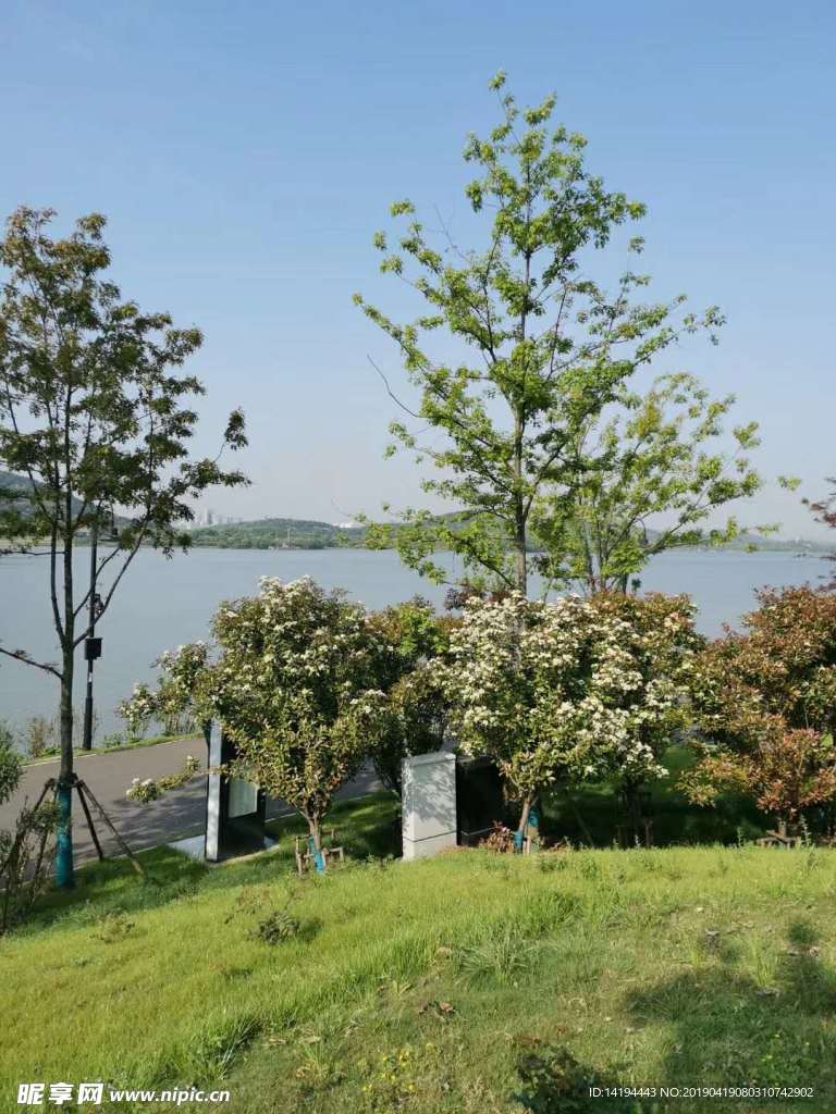 江水