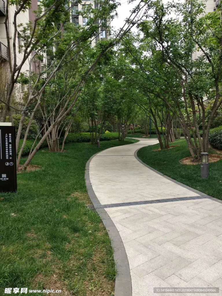 林荫小道