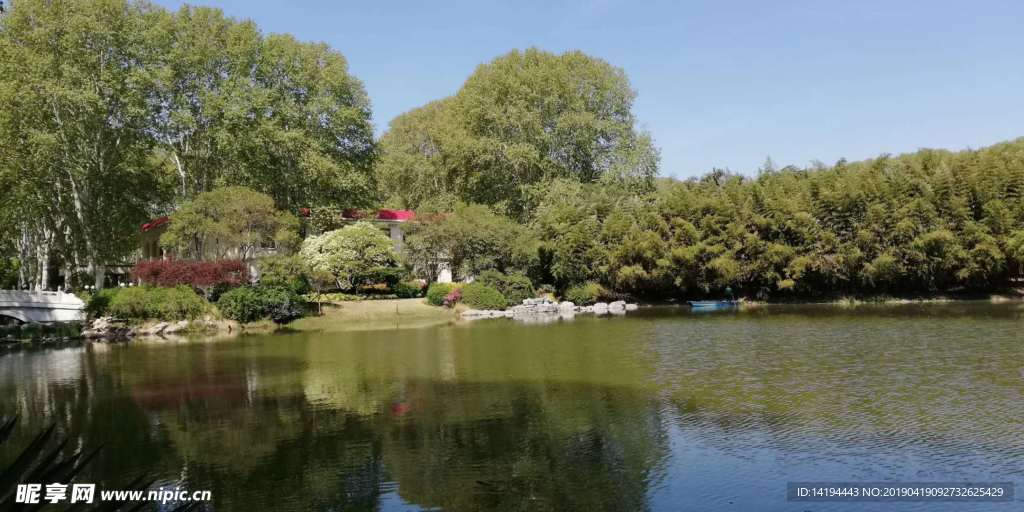 水面