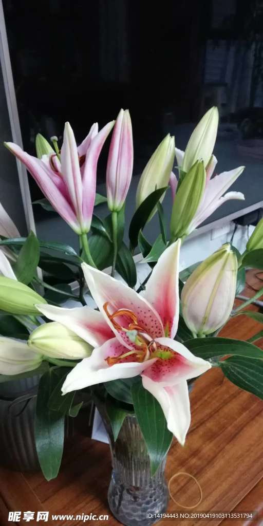 百合