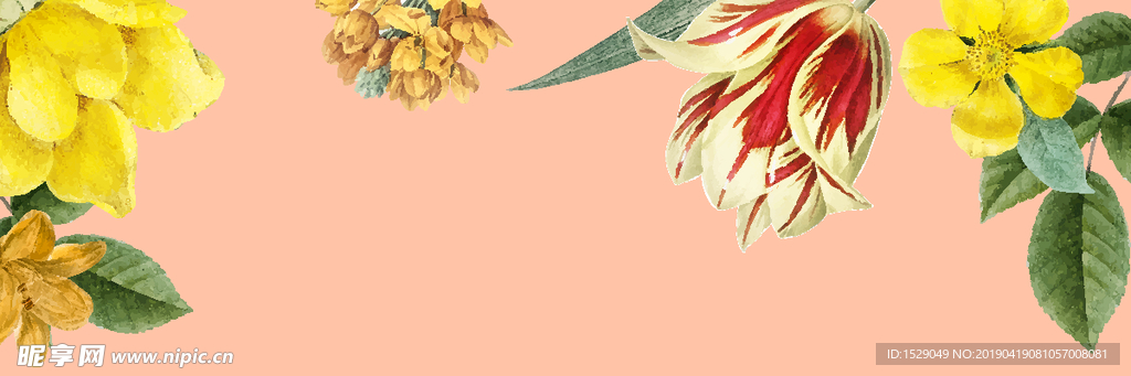 花卉边框