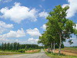 田野