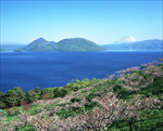 大海