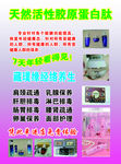 经络海报