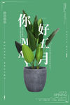 你好五月
