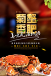 蟹