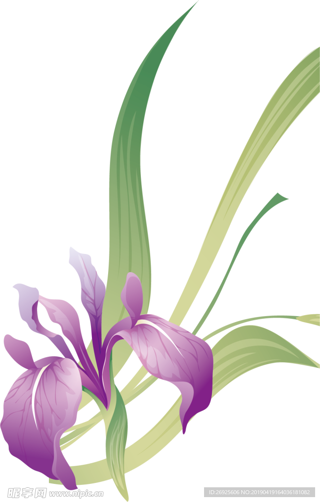 中国风 古典 手绘 花卉花朵