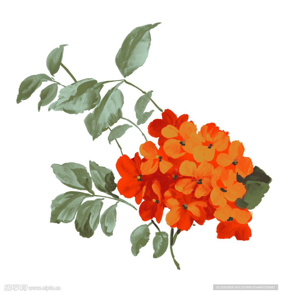 中国风 古典 手绘 花卉花朵
