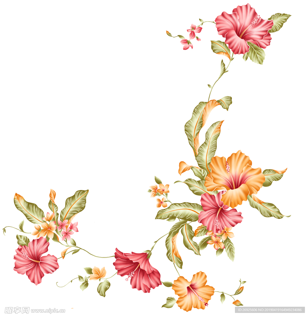 中国风 古典 手绘 花卉花朵