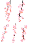 中国风 古典 手绘 花卉花朵