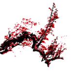 中国风 古典 手绘 花卉花朵