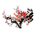 中国风 古典 手绘 花卉花朵
