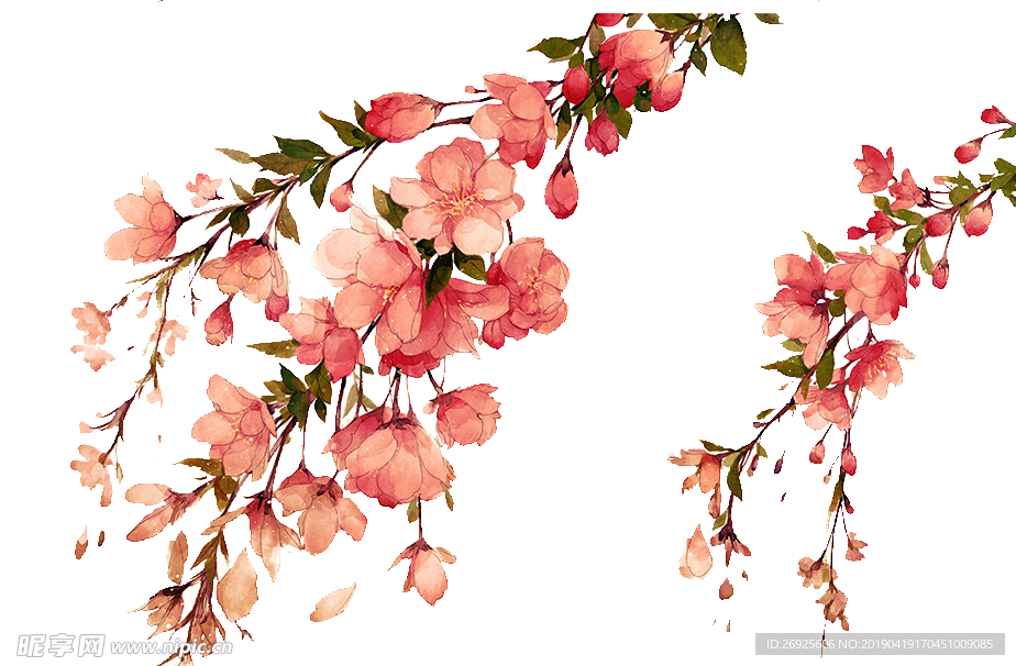 中国风 古典 手绘 花卉花朵