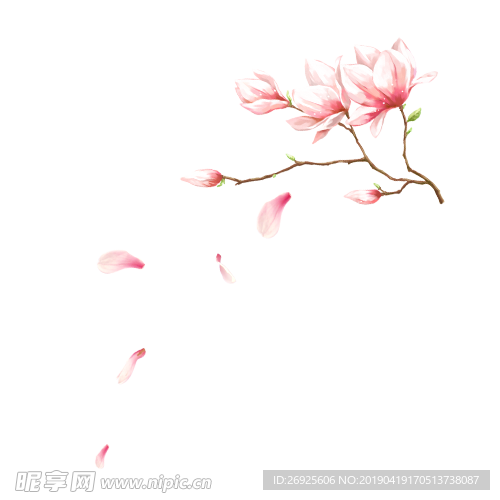 中国风 古典 手绘 花卉花朵