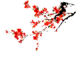 中国风 古典 手绘 花卉花朵
