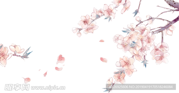 中国风 古典 手绘 花卉花朵