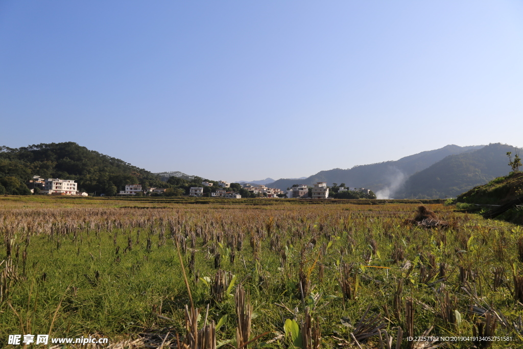 家乡田园风光